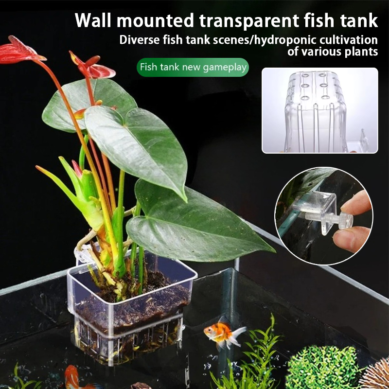 Aquarium Plant Holder - Aquarium Hanging Planter Cups Wall Mounted