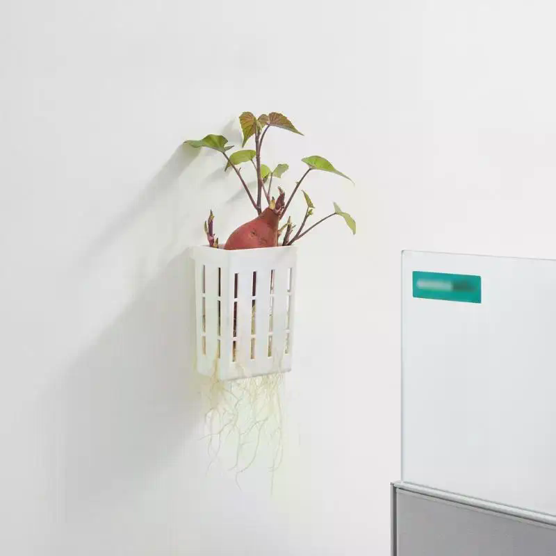 1Pcs Hydroponic Support Basket - Aquarium Plant Holder 评论和价格
