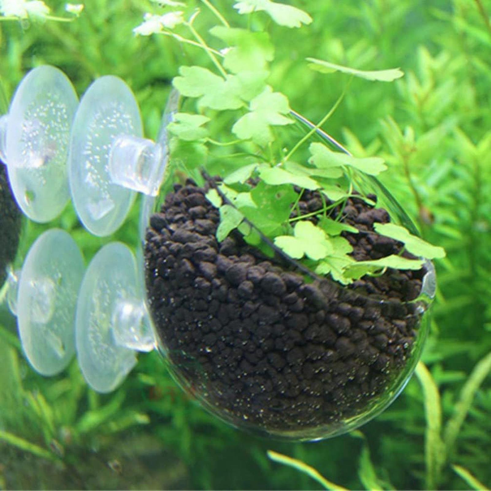 Aquarium Plant Holder Glass Aq - Aquarium Plant Holder 评论和价格