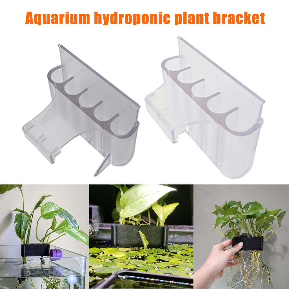 4.5/6.5cm Aquarium Plant Holde - Aquarium Plant Holder 评论和价格