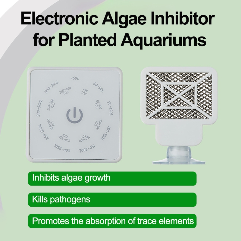 Electronic Aquarium Fish Tank  - Planted Aquarium Cleaning 评论和价格