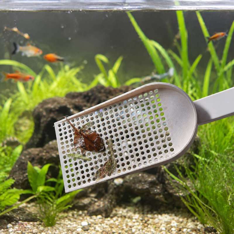 Aquarium Fish Tank Debris Scoo - Planted Aquarium Cleaning 评论和价格