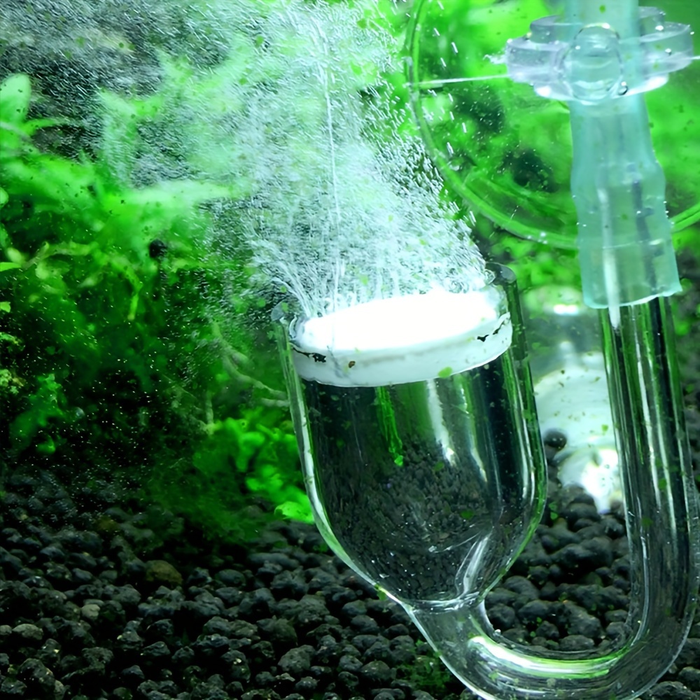 Aquarium Glass CO2 Atomizer Di - Aquarium Plant Nursery 评论和价格