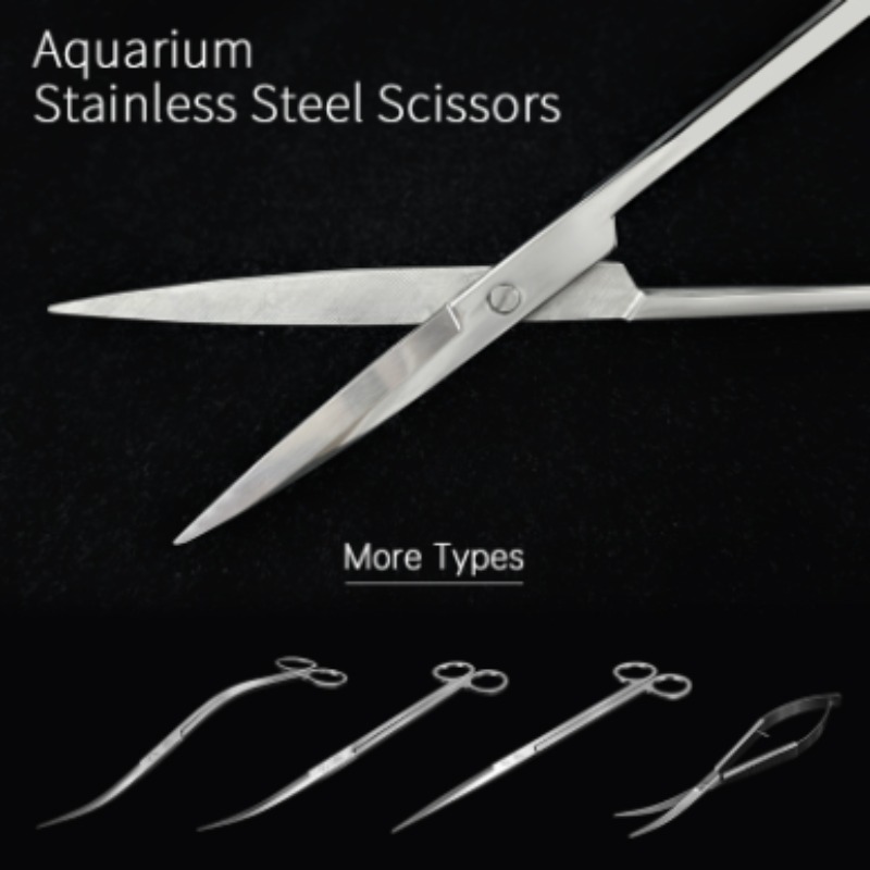 Week Aqua Stainless Steel Aqua - Aquarium Plant Nursery 评论和价格