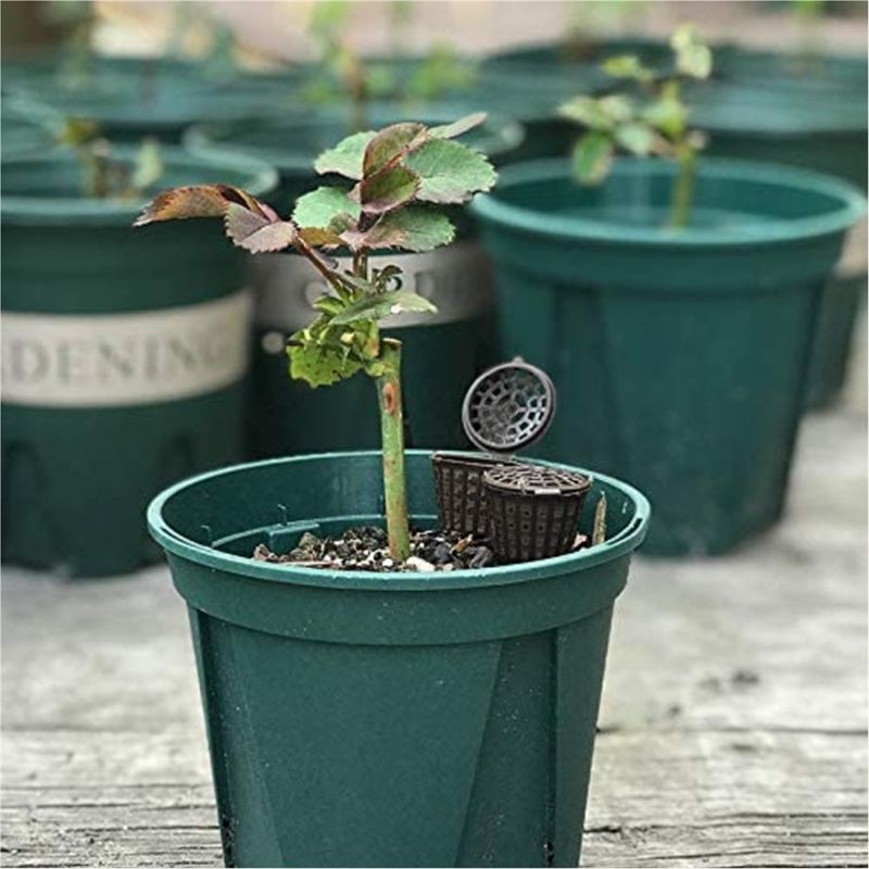 ABUH-Garden Nursery Fertilizer - Aquarium Plant Nursery 评论和价格