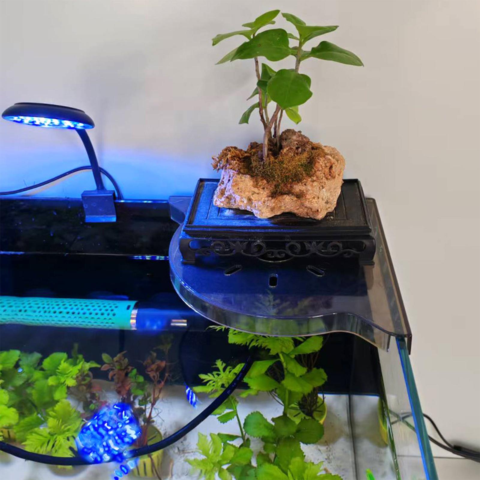 Triangle Fish Tank Corner Stor - Aquarium Plant Holder 评论和价格