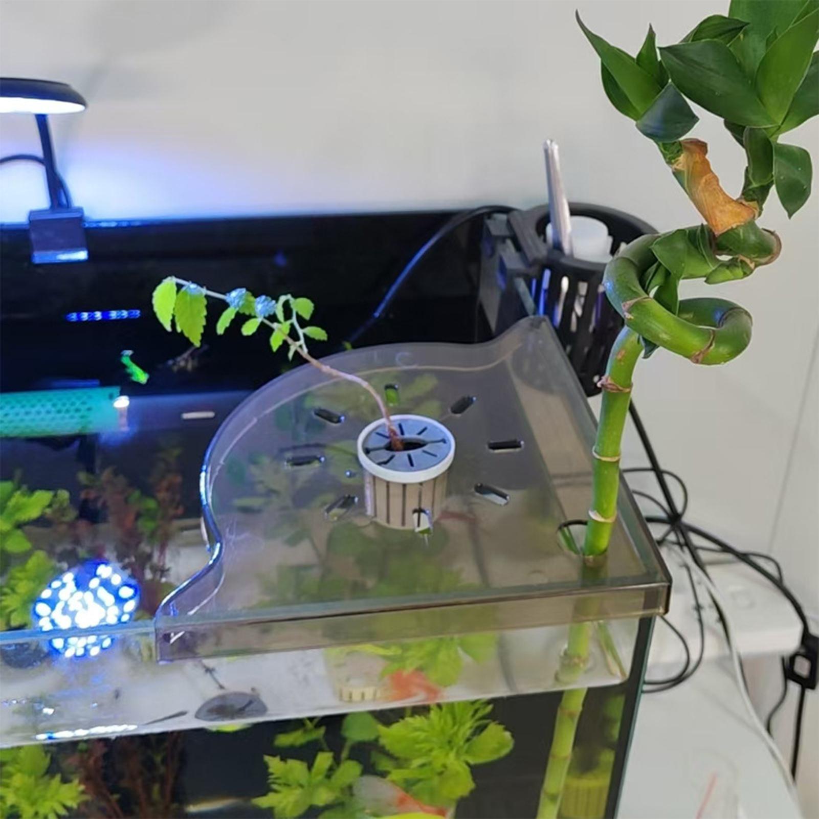 Triangle Fish Tank Corner Stor - Aquarium Plant Holder 评论和价格