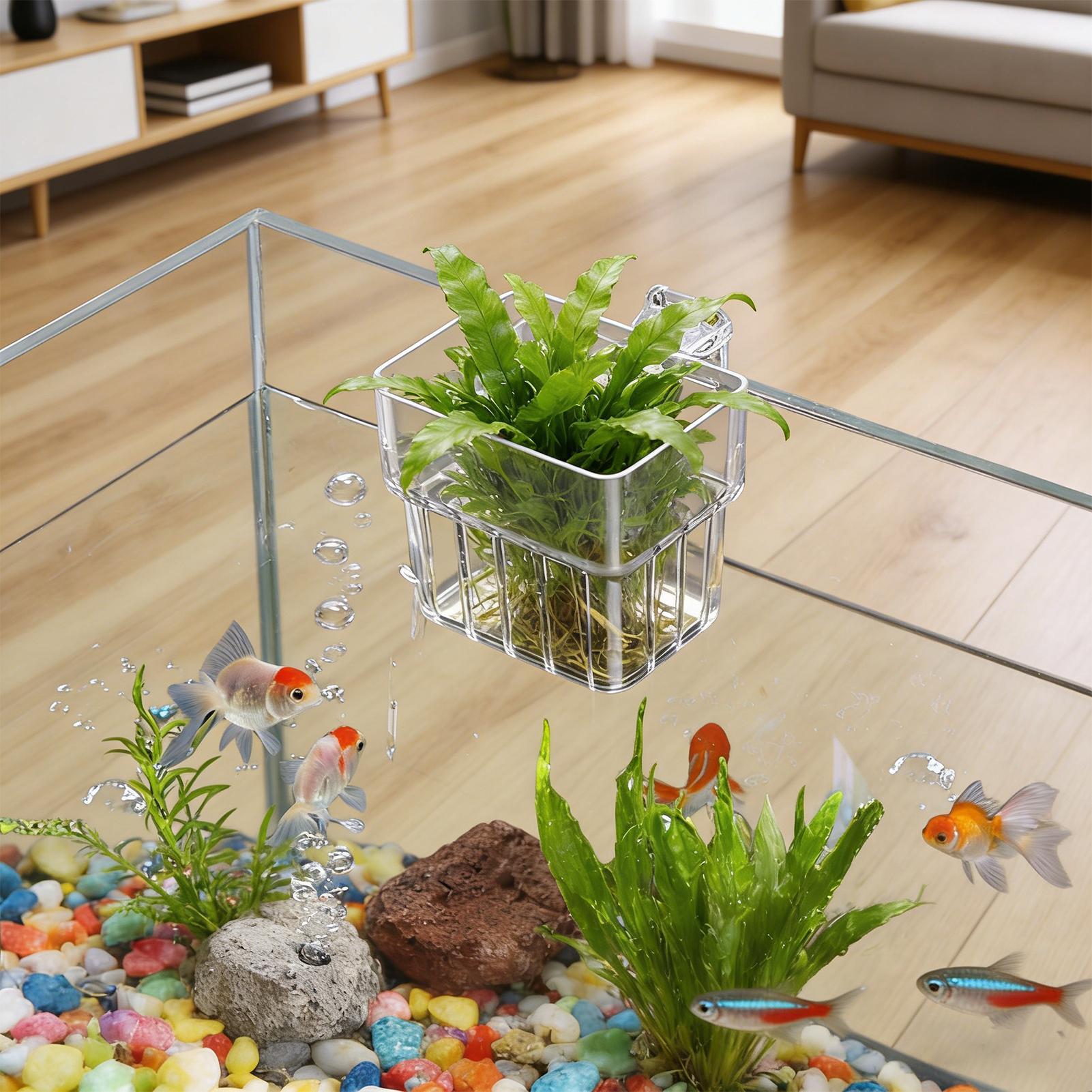 Aquarium Transparent Hanger Po - Aquarium Plant Holder 评论和价格