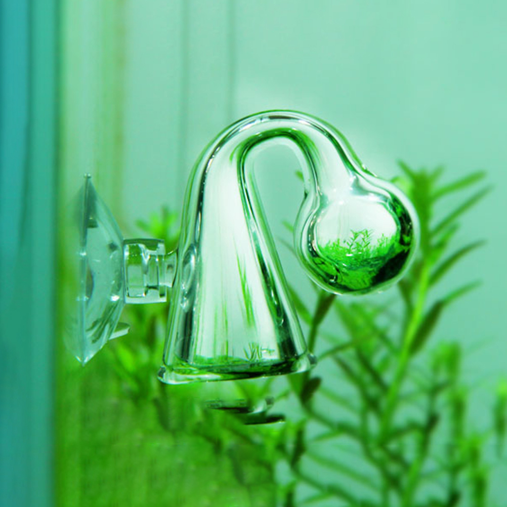 Fish Tank CO2 Diffuse Glass Dr - Aquarium Plant Nursery 评论和价格