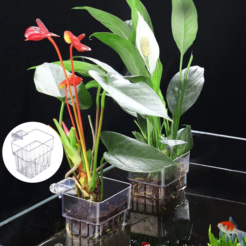 Multifunctional Fish Aquarium  - Aquarium Plant Grass 评论和价格