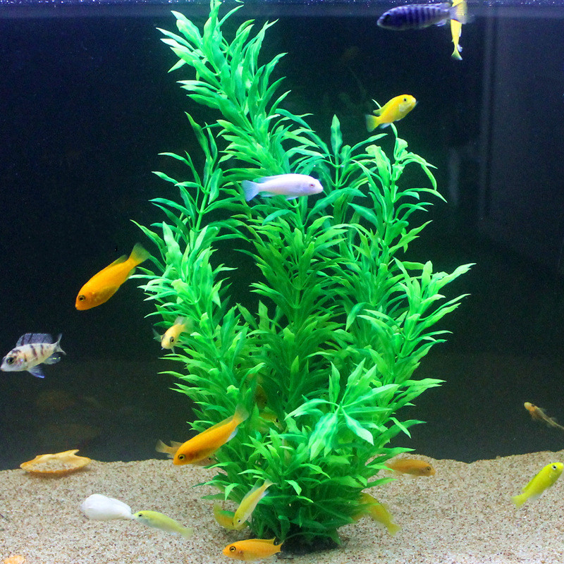 50CM Artificial Fish Tank Rare - Aquarium Plant Grass 评论和价格
