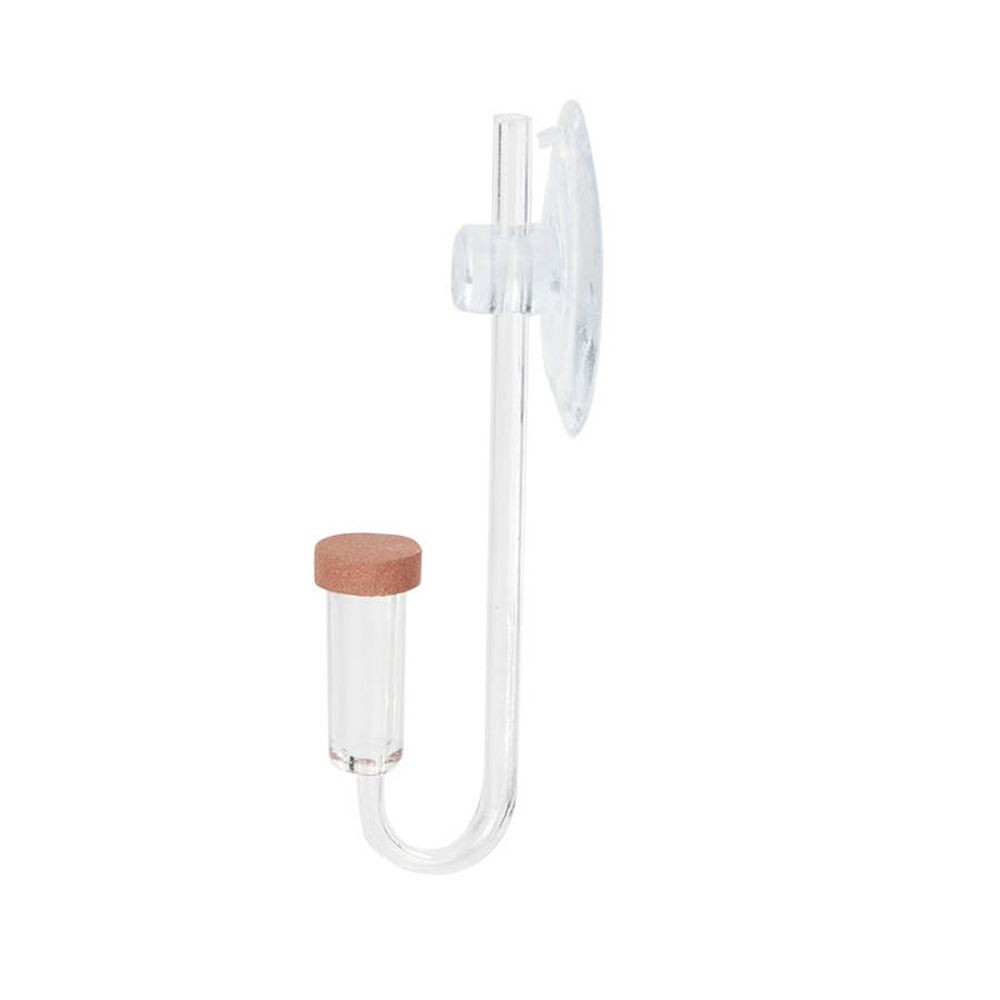 Acrylic Mini Fish Tank Live Pl - Aquarium Plant Nursery 评论和价格