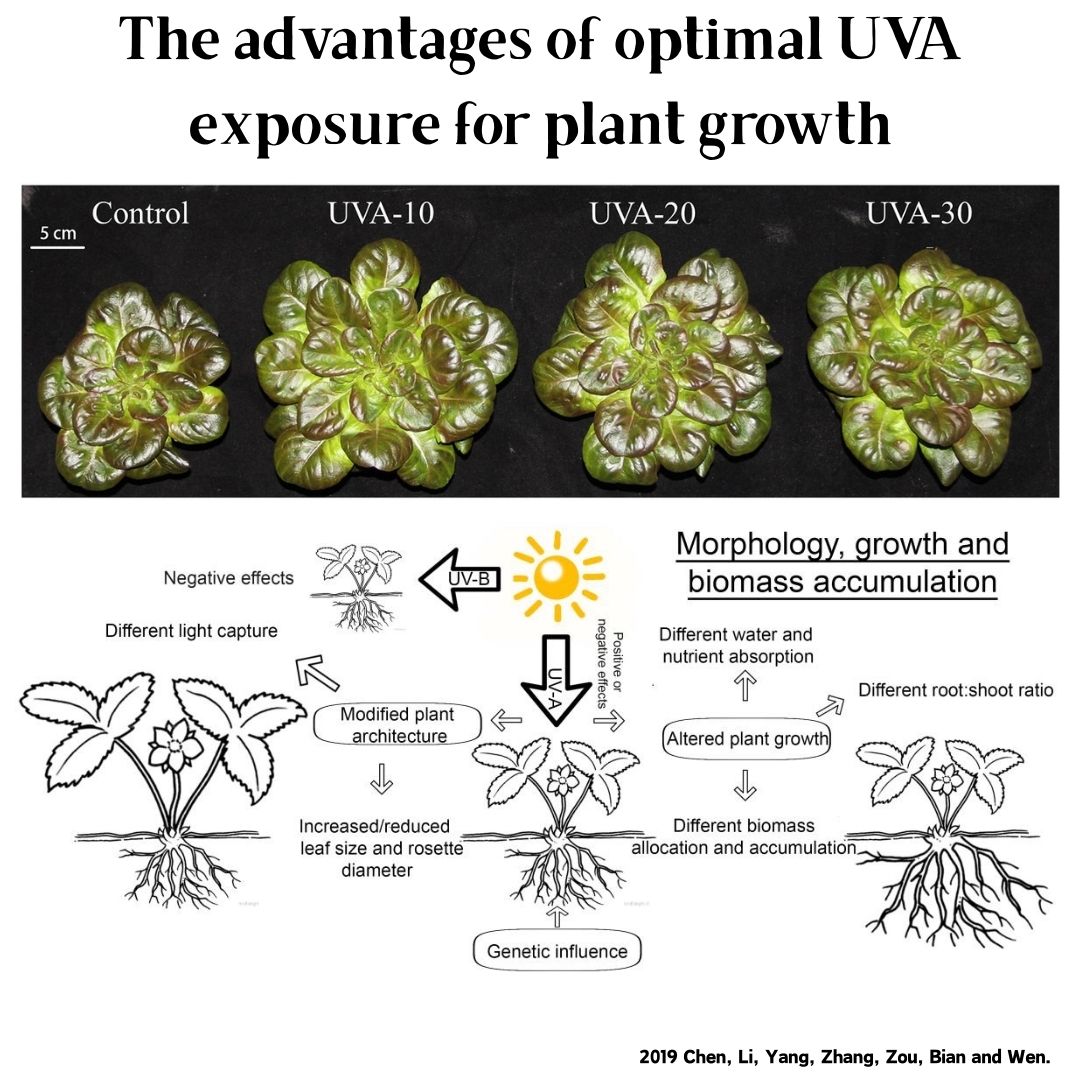 Week Aqua M Series RGB+UV Wate - Aquarium Plant Growth Light 评论和价格