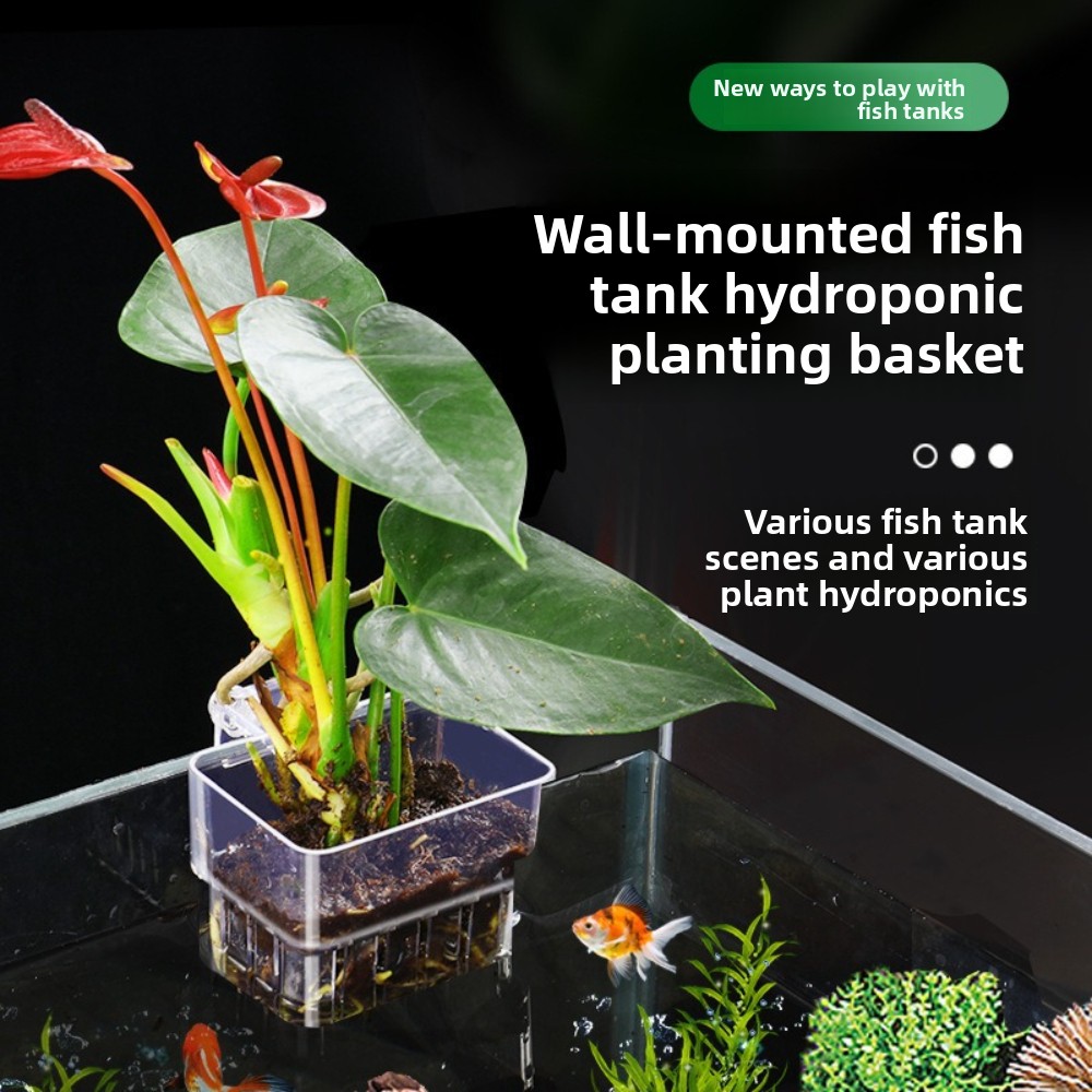 Aquarium Hydroponic Planting B - Aquarium Plant Grass 评论和价格