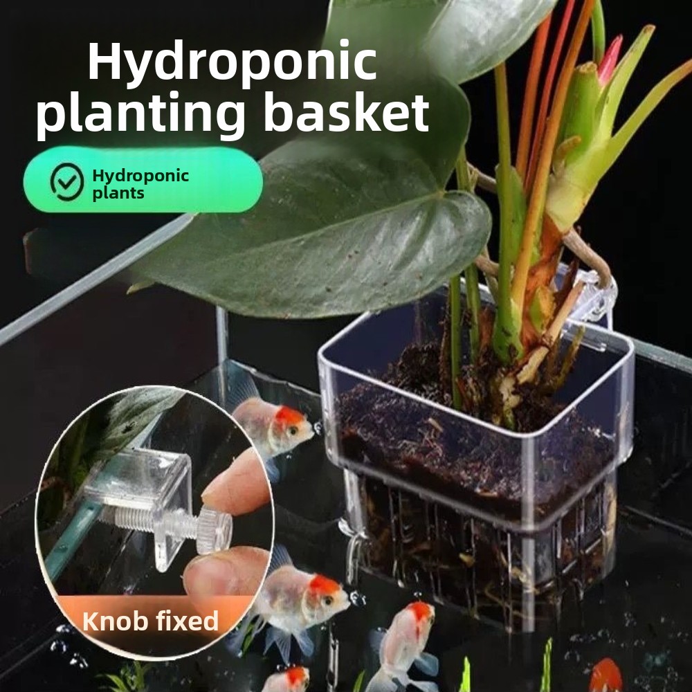 Aquarium Hydroponic Planting B - Aquarium Plant Grass 评论和价格