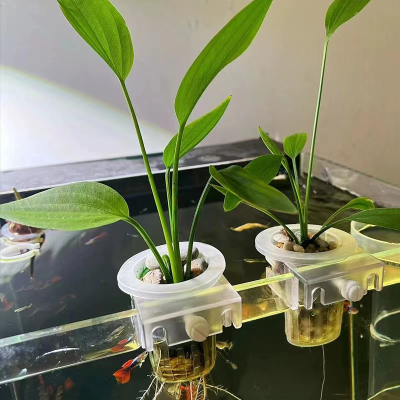 Aquarium Planting Basket Hydro - Aquarium Plant Holder 评论和价格
