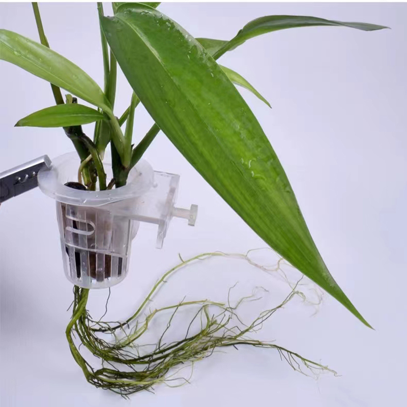 Aquarium Planting Basket Hydro - Aquarium Plant Holder 评论和价格